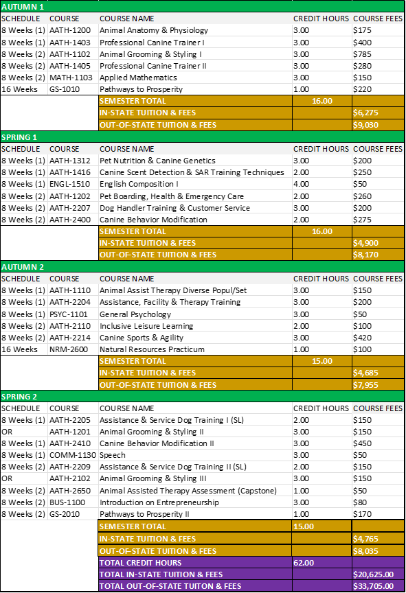 Canince assisted therapy-1