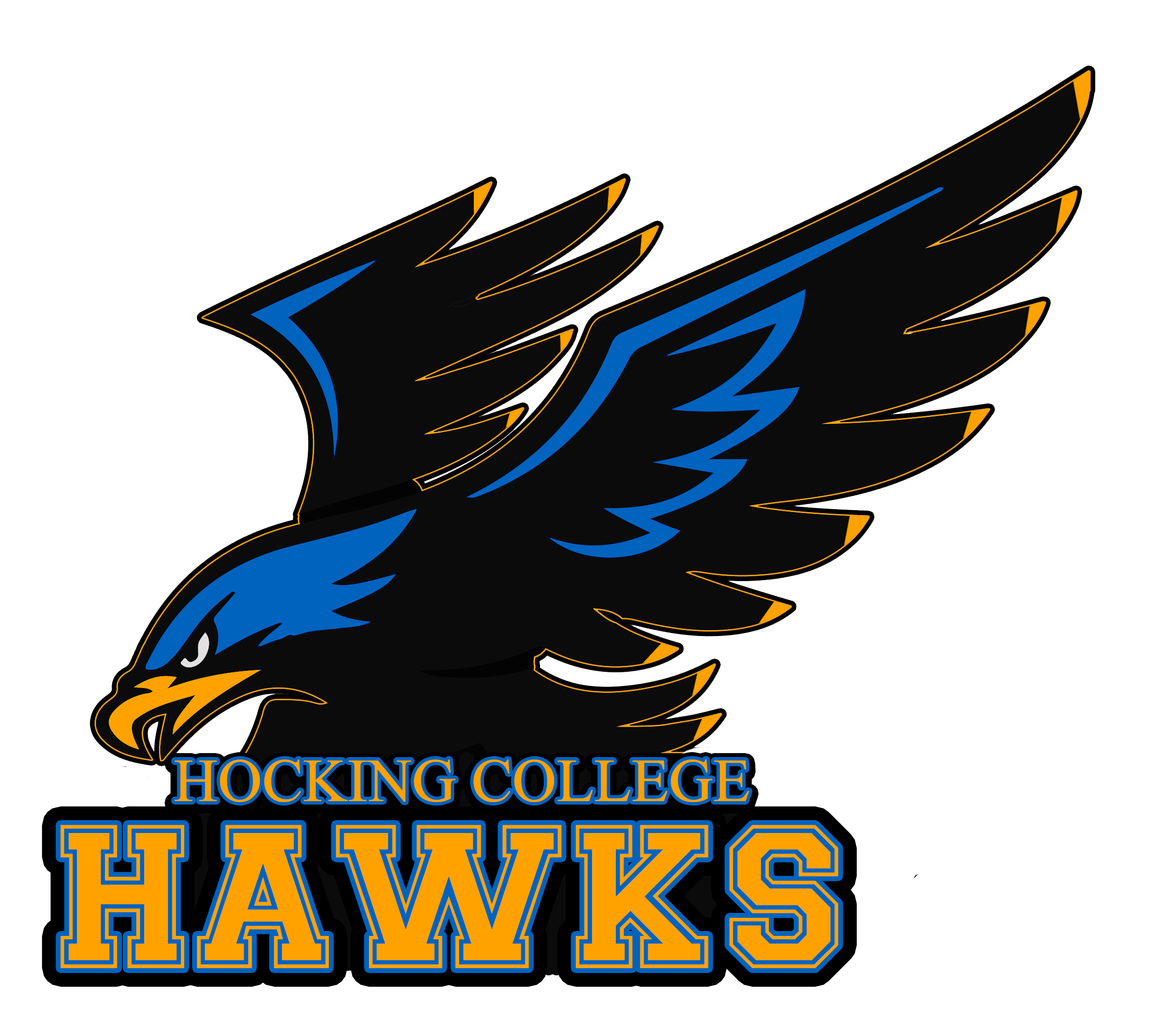 hawk football logo