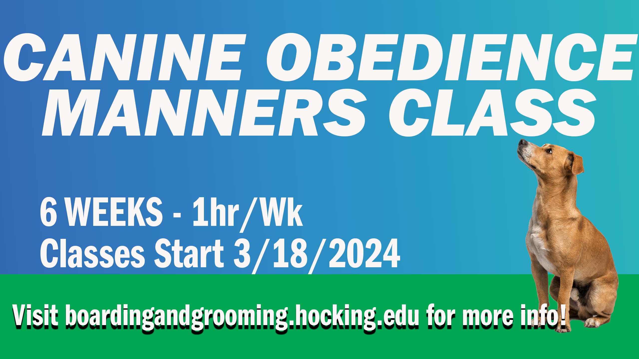 Enroll in the canine obedience manners class at Hocking!
