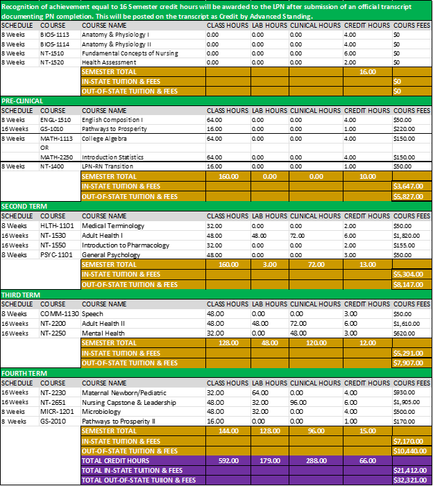 Nursing Transition Program