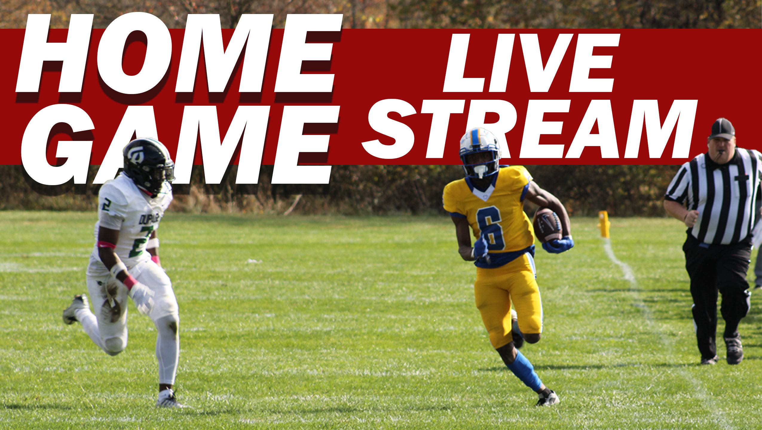 LIVESTREAM image